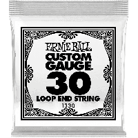 Ernie Ball Stainless steel 30 - Vue 1