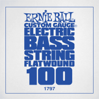 Ernie Ball Slinky flatwound 100 - Vue 1