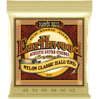 Ernie Ball Earthwood 80/20 bronze nylon 28-42 - Vue 1