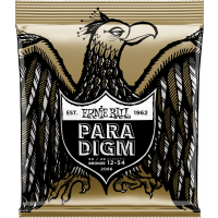 Ernie Ball Paradigm 80/20 bronze medium light 12-54 - Vue 1