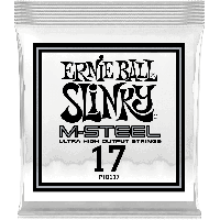 Ernie Ball Slinky m-steel 17 - Vue 1