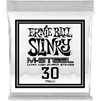 Ernie Ball Slinky m-steel 30 - Vue 1