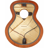 Fishman Matrix Infinity, Format large , système à double micros - Vue 6