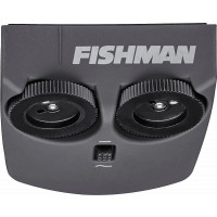 Fishman Matrix Infinity, Format chevalet splitté , système à double micros - Vue 3