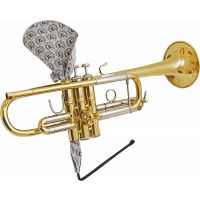 BG Écouvillon trompette - chambre de pistons - Vue 2