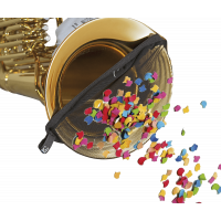 BG Filtre anti-confettis - tuba - Vue 1