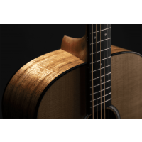 C.F. Martin & Co D-12E Koa - Vue 5