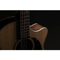 C.F. Martin & Co GPC-16E Rosewood - Vue 6