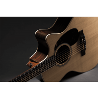 C.F. Martin & Co GPC-16E Rosewood - Vue 7