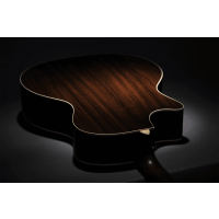 C.F. Martin & Co GPC-16E Rosewood - Vue 8