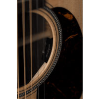 C.F. Martin & Co GPC-16E Rosewood - Vue 9