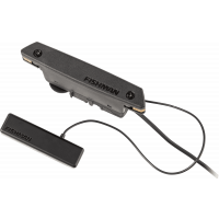 Fishman Powertap Earth - Vue 1