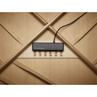 Fishman Powertap Earth - Vue 3