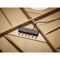 Fishman Powertap Earth - Vue 4