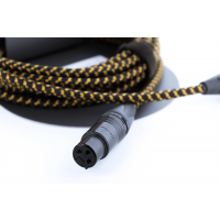 Cordial CXM 5 FM-EDITION 25 - Vue 2