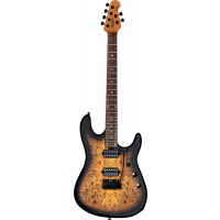 Sterling RICHARDSON6-NPB, Jason Richardson Signature, Natural Poplar Burl Burst, 6 cordes - Vue 1