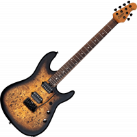 Sterling RICHARDSON6-NPB, Jason Richardson Signature, Natural Poplar Burl Burst, 6 cordes - Vue 2