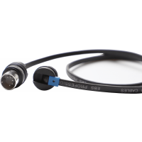 EBS câble MIDI BlueDot plat à tête flexible 58 cm - Vue 1