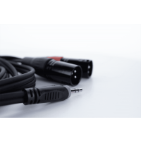 Cordial Câble Y bretelle mini-jack stéréo / 2 XLR mâle 3 m - Vue 6