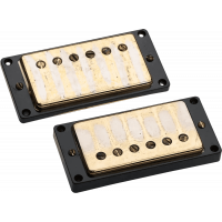 Seymour Duncan Kit Humbuckers Antiquity, Gold - Vue 1