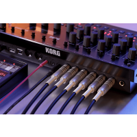 Korg Boîte à rythme hybride analogique/numérique - Vue 4
