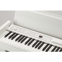 Korg Piano C1  WH - Vue 3