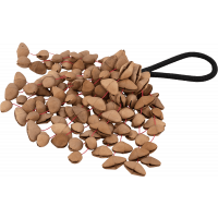 Pearl Shaker Kenari Nut 7