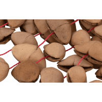 Pearl Shaker Kenari Nut 7