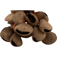 Pearl Shaker Nut Pangi avec poignée - Vue 2