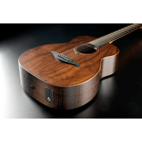 Lâg Sauvage Travel Électro - Vue 5