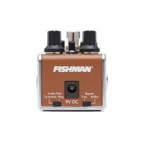 Fishman Pédale AFX Pro EQ Mini Acoustic Preamp & EQ - Vue 2