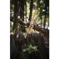 Vic Firth 7A Terra American Classic hickory - Vue 5