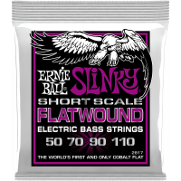 Ernie Ball Slinky Flatwound Short Scale 50-110 - Vue 1