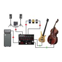 Radial BassBone V2 - préampli basse 2 canaux - Vue 9