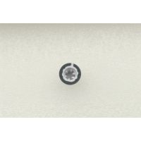 Arturia Bouton Pot Minibrute - Vue 4