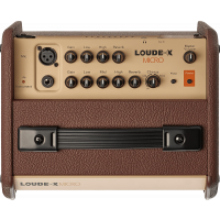Fishman Loudbox Micro 40W - Vue 2