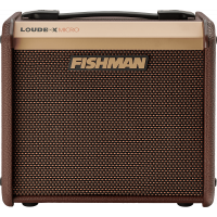 Fishman Loudbox Micro 40W - Vue 8