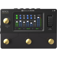 Singular Sound Looper Aeros Gold Edition - Vue 9