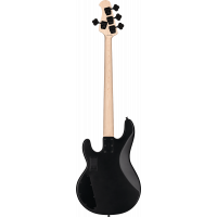 Sterling Sterling RAY4HH Stealth Black - Vue 2