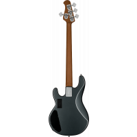 Sterling Stingray RAY34HH Charcoal Frost - Vue 2