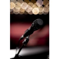 Shure Nexadyne 8-S Microphone dynamique supercardioïde pour la voix - Vue 7