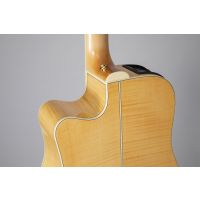 Takamine Dreadnought GD74CE 12 cordes Natural - Vue 7