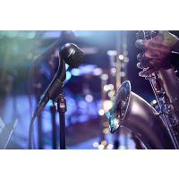 Shure Nexadyne 5 Microphone dynamique supercardioïde pour ampli guitare - Vue 9