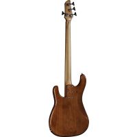 Eko Aire 800 Musa Bass Honey Burst - 4 cordes - Vue 2