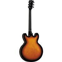 Eko Fusion hollowbody double cut Sunburst - Vue 2
