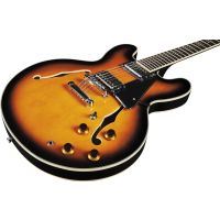 Eko Fusion hollowbody double cut Sunburst - Vue 4
