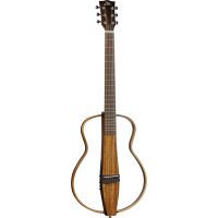 Eko ONE S150e Folk Silent guitar - Cordes Folk - Bluetooth + effets - Vue 1