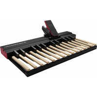 Nord Pédalier MIDI 25 notes avec pédale de contrôle EP30 incluse - Vue 4