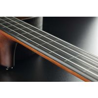 Lâg Basse Acoustique Fretless Jumbo Pan Coupé Electro, avec housse - Vue 4