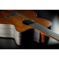 Lâg Basse Acoustique Fretless Jumbo Pan Coupé Electro, avec housse - Vue 5